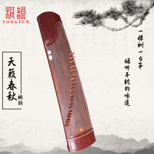 桐韻古箏 從品牌迷思到央視風華國樂的舞臺見證